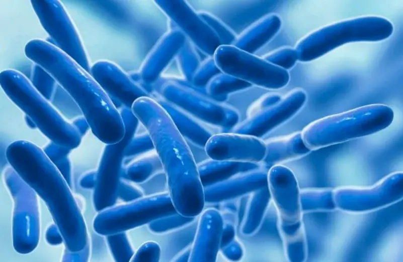 5 Morning Habits That May Be Harmful to Your Gut Health