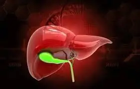 Gallbladder Surgery: Understanding the Changes Your Body May Experience