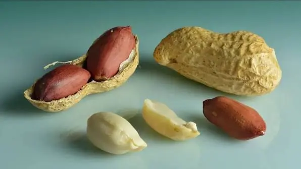 The Truth About Peanuts: Benefits, Risks, and What Happens to Your Body