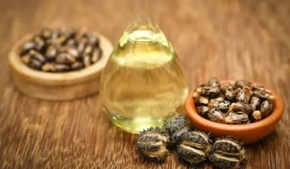 7 Little-Known Beauty Benefits of Castor Oil You Should Know About