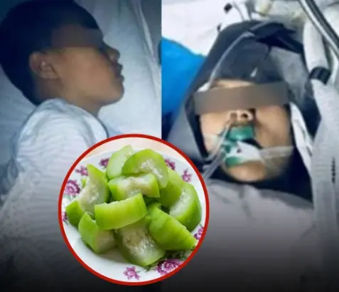 Family Hospitalized After Eating Vegetables: Doctors Explain How Improper Preparation Can Increase Food Pois.oning Risk