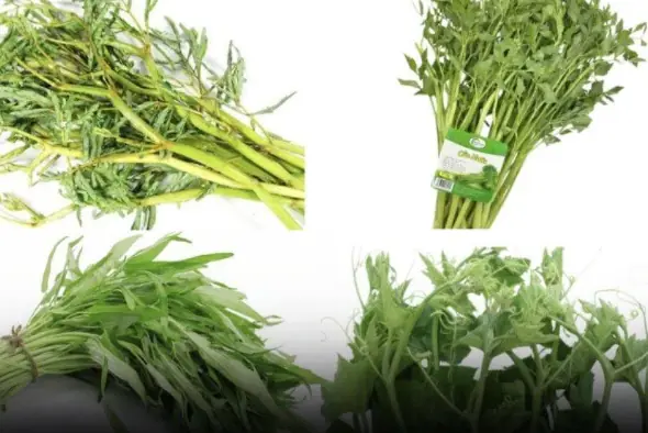 These Vegetables May Accumulate More Heavy Metals - Here's What You Need to Know