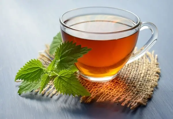 Everything You Should Know About This Widely Used Herbal Remedy