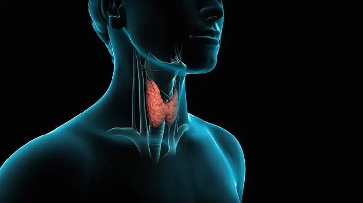 These 6 Common Foods Could Be Putting Extra Stress on Your Thyroid