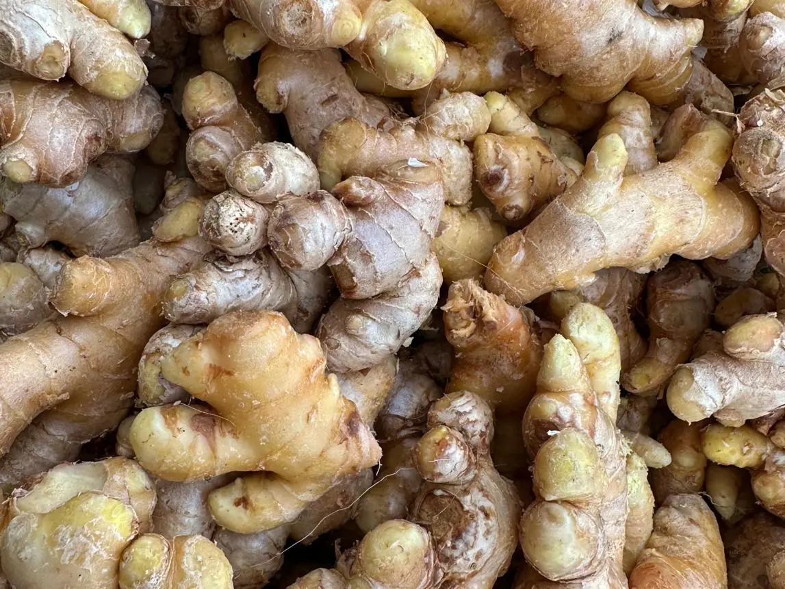 Can Raw Ginger Carry Parasites? What You Should Really Know Before Eating It