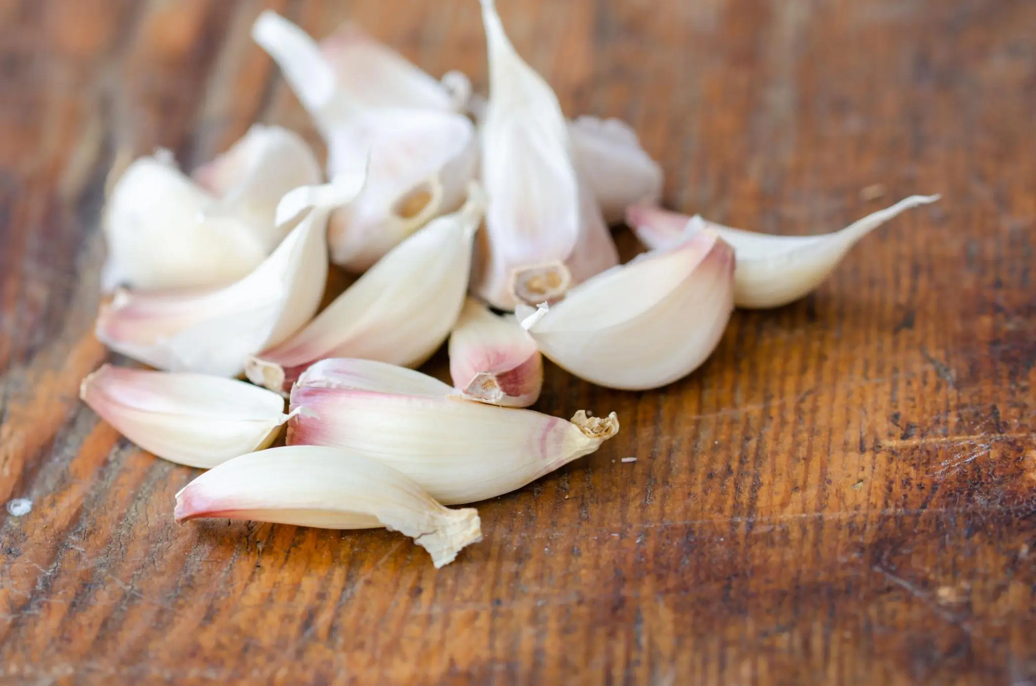 Garlic and Health: Who Should Be Cautious Despite Its Benefits
