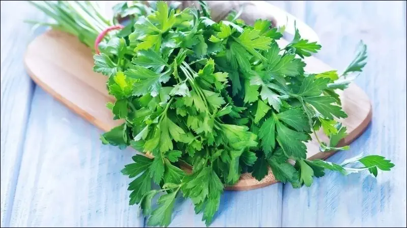 Parsley Leaves: Nutrition, Potential Benefits, and Easy Ways to Enjoy Them