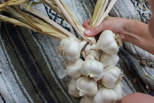 What Really Happens When You Keep Garlic Beside Your Bed Overnight?