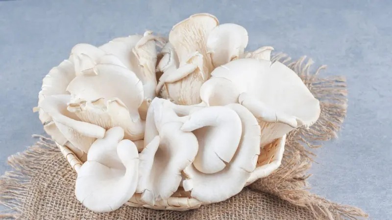 20 Everyday Foods Packed With Nutrients Your Immune System Needs