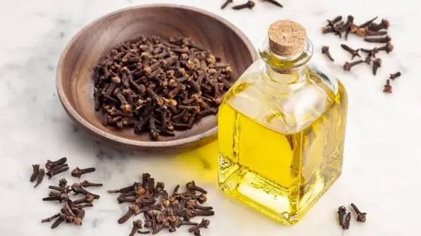 Chewing Cloves Daily: What You Should Know Before Making It a Habit