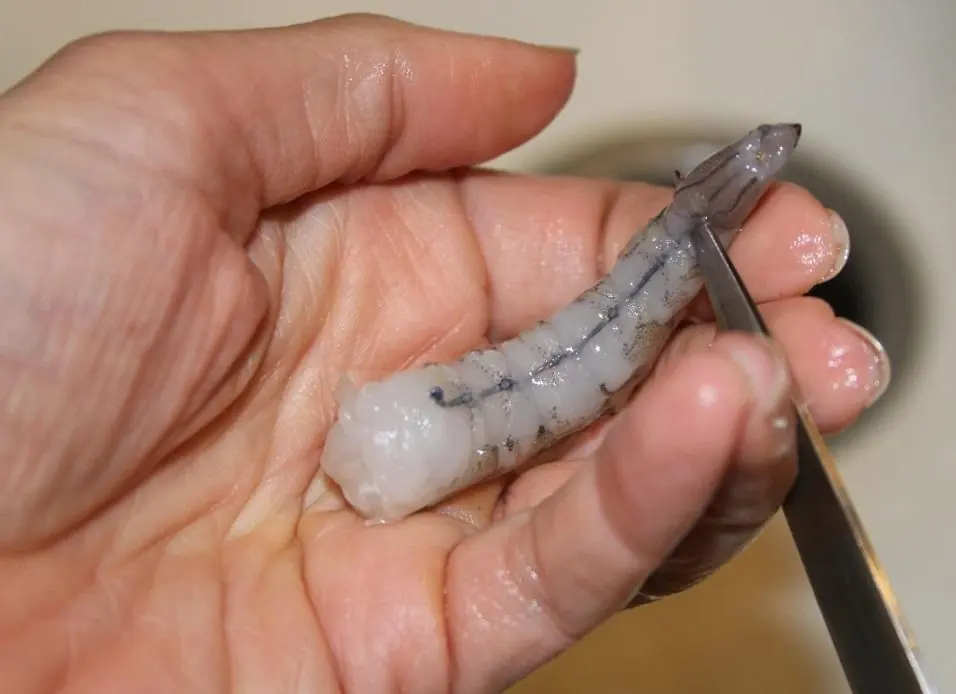 What Is the "Dark Vein" in Shrimp? Here's What It Really Is—and Whether You Should Remove It
