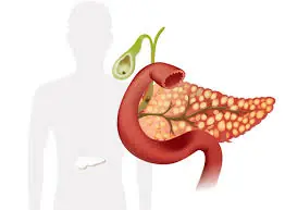 Gallbladder Problems Can Start Quietly — Here Are the Symptoms to Watch For