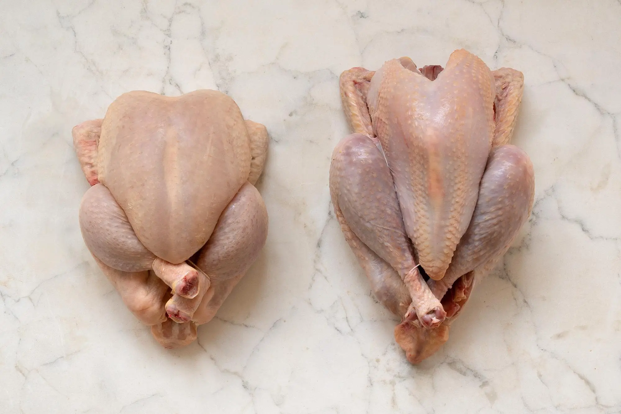 White Chicken vs. Yellow Chicken: Does Color Really Tell You Which Is Better?