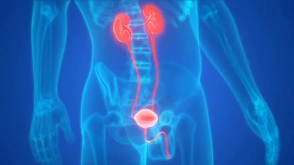 Blood in Your Urine Isn’t the Only Sign — Other Bladder Cancer Symptoms to Know