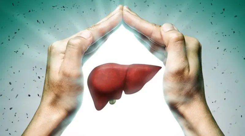 Support Your Liver Naturally: 3 Fruits That May Benefit Bl00d Sugar and Cholesterol