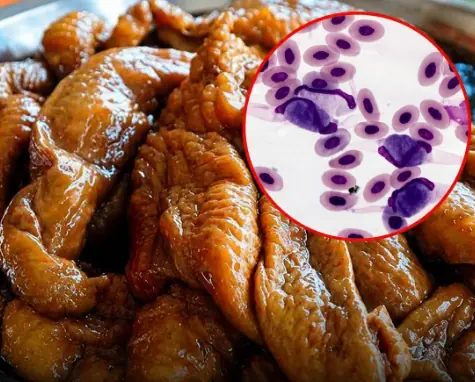 Not every part of a chicken is equally nutritious—here are 4 you may want to limit