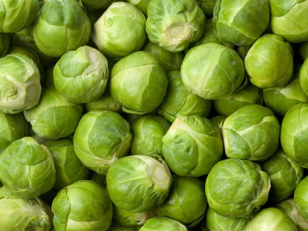 Vegetables That Help Support Collagen in Your Knees and Joints for Better Mobility