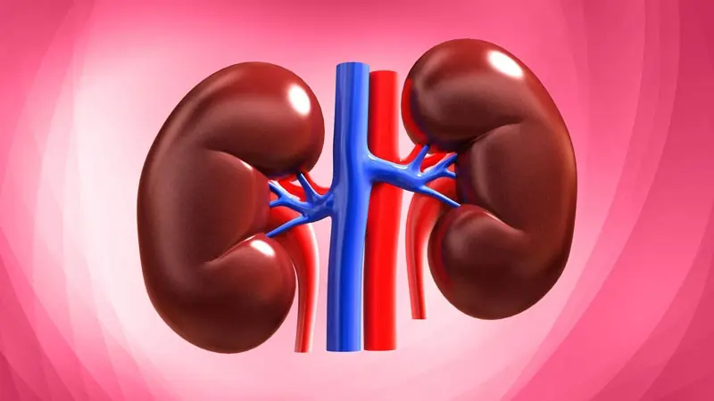 Pain in These 5 Areas? Here’s When Your Kidneys Could Be Involved