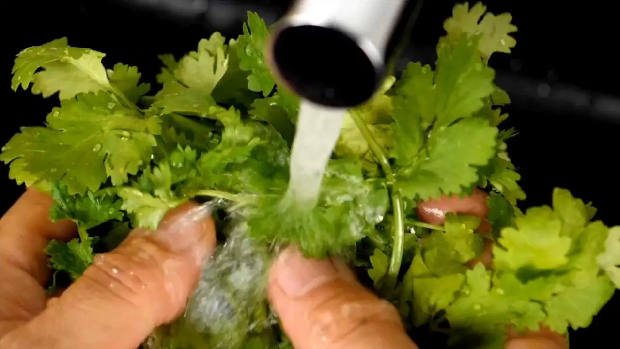 4 Everyday Vegetables That May Harbor Parasites if Eaten Raw – Here's How to Enjoy Them Safely