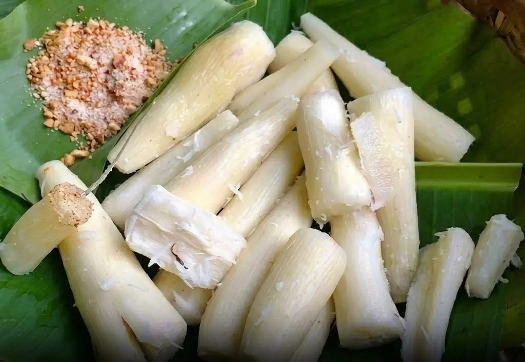 This Common Food Is Eaten by Millions Every Year But It Can Be Dan.gerous If Not Prepared Properly..