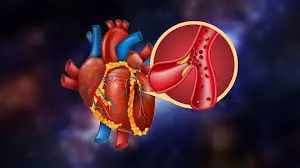 Looking After Your Heart? These Nutrient-Rich Foods Deserve a Place on Your Plate