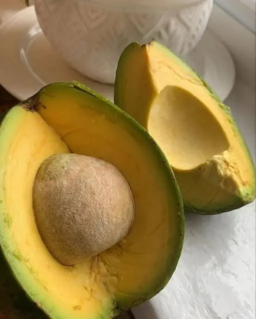 Doctors reveal that eating avocados causes… See more