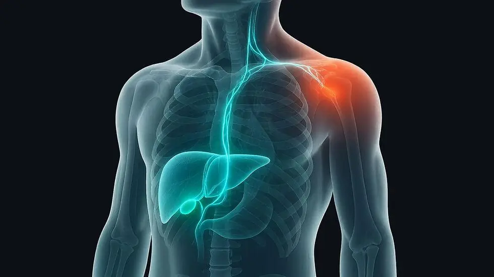 Shoulder Discomfort Could Be an Early Warning Sign of Li.ver Can.cer