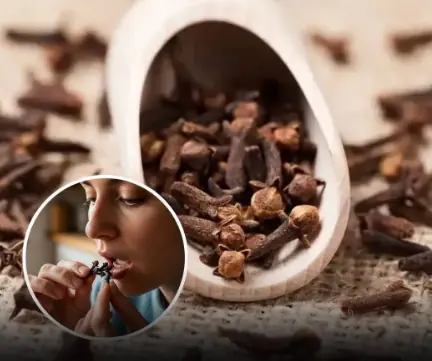 Everything You Should Know About Cloves: Their Benefits, Everyday Uses, and Potential Health Effects