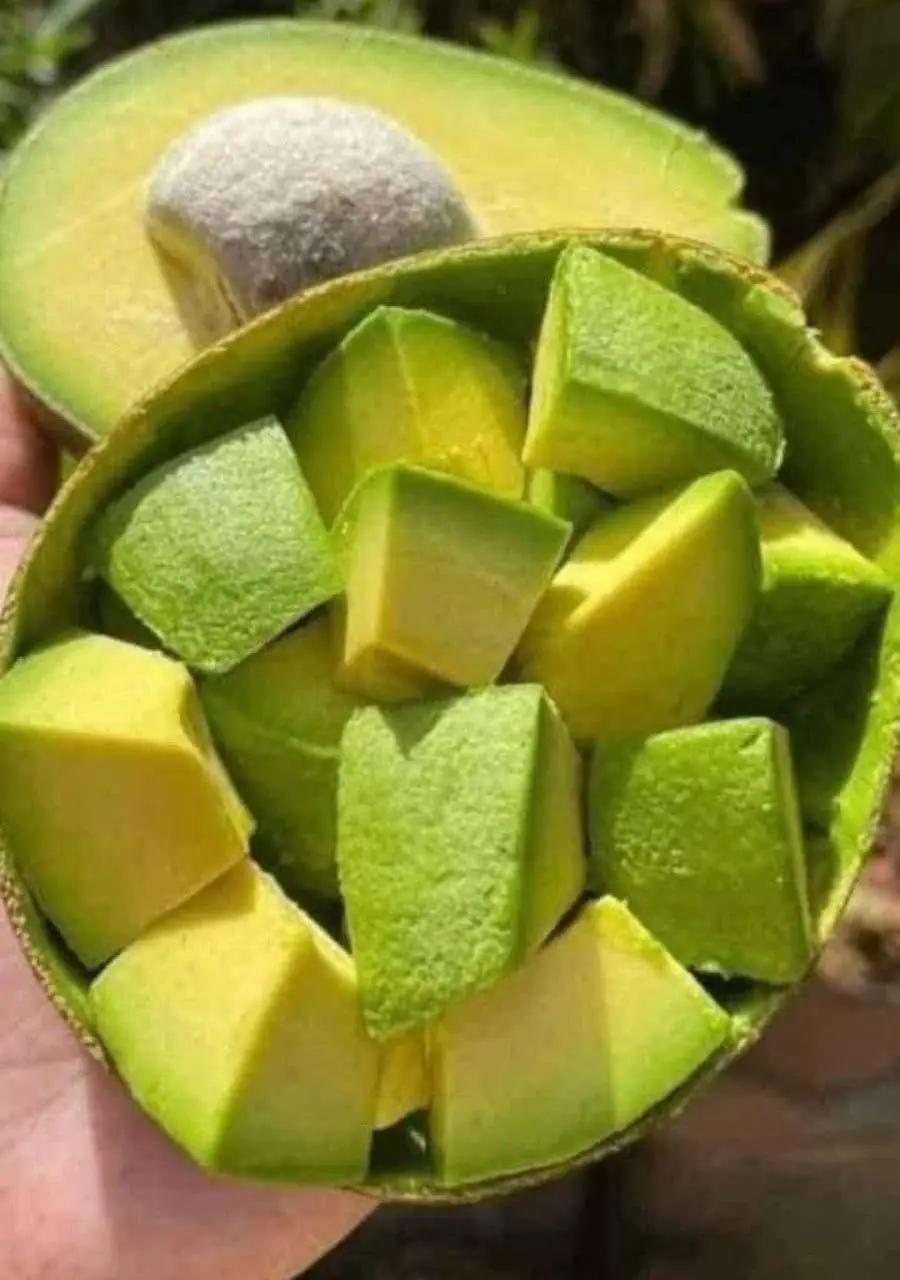 Doctors Reveal What May Happen to Your Body When You Eat Avocados Regularly