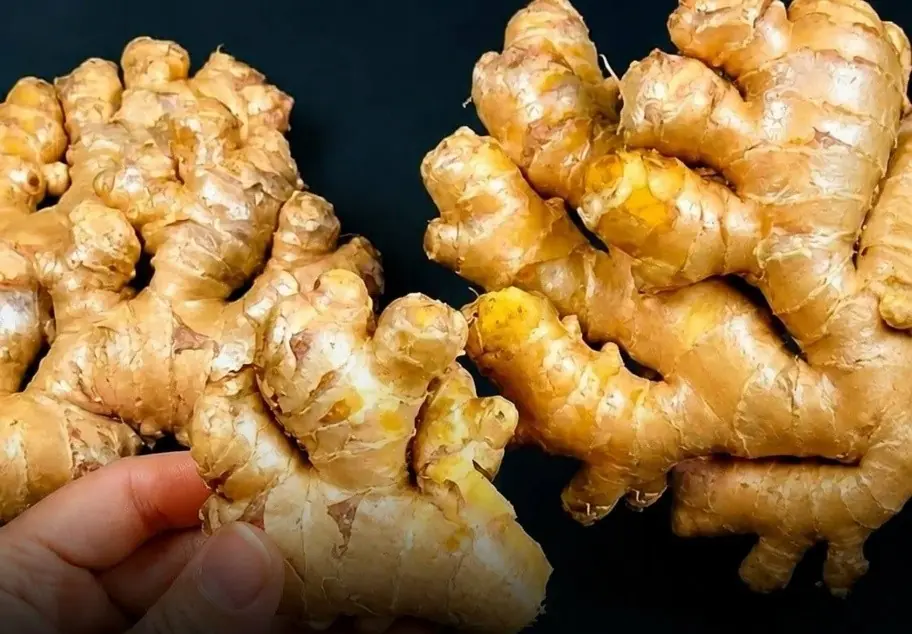 Doctors reveal that consuming ginger causes in... see more