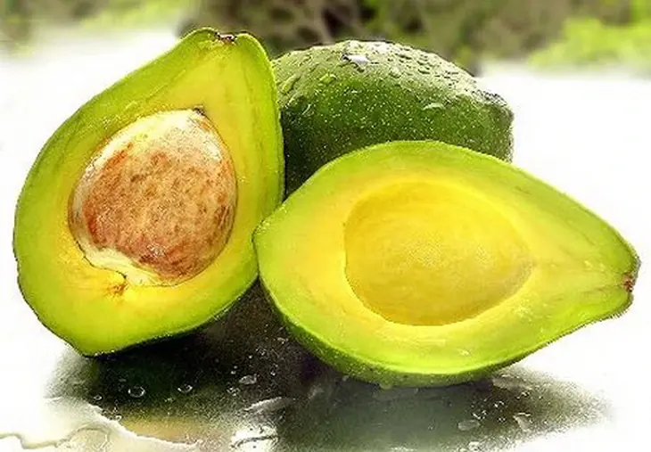 Doctors Reveal the Truth About Eating Avocados — What Happens Inside Your Body May Surprise You