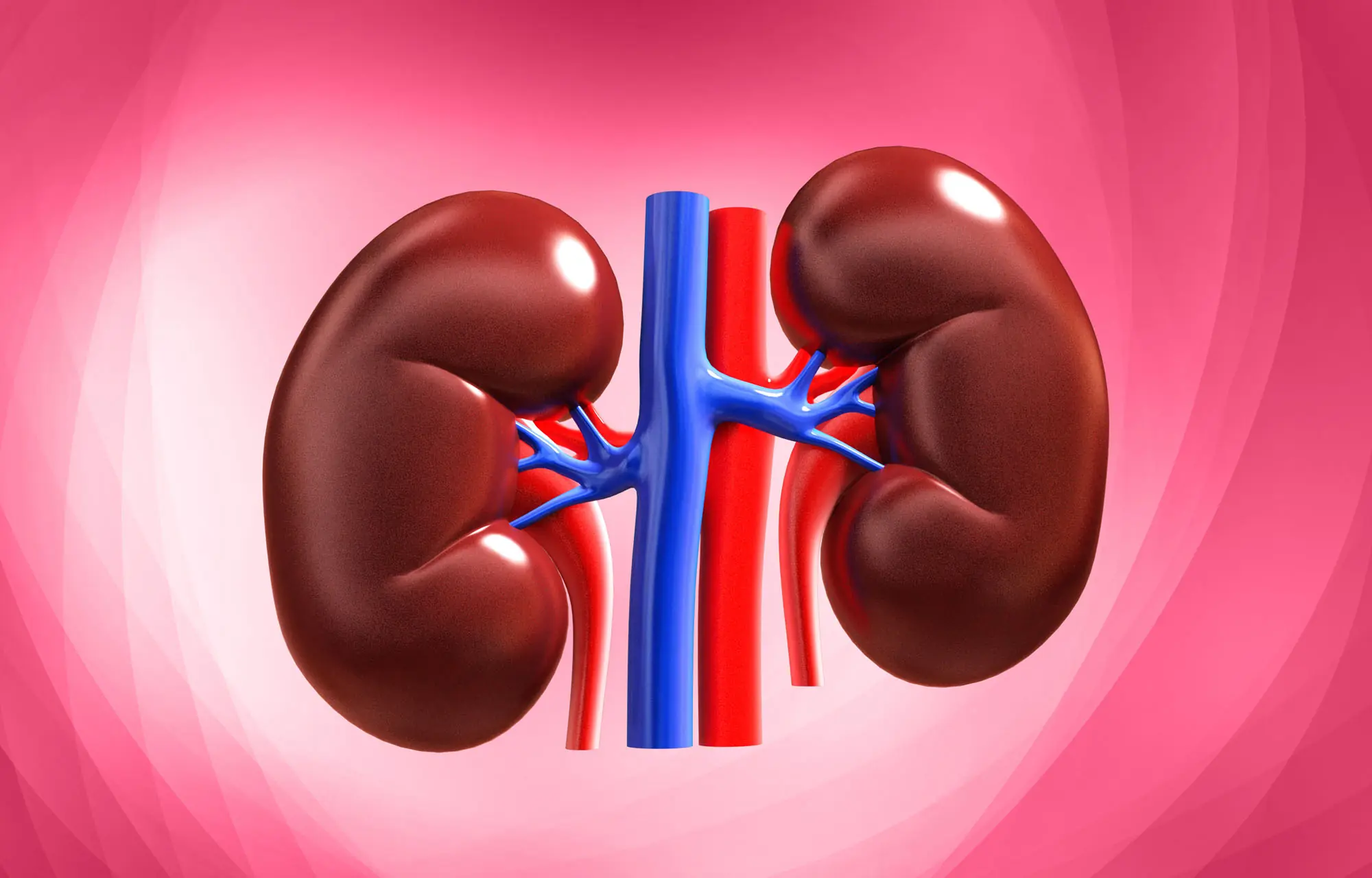 Don’t Ignore These 23 Changes — They Could Be Associated With Kidney Problems