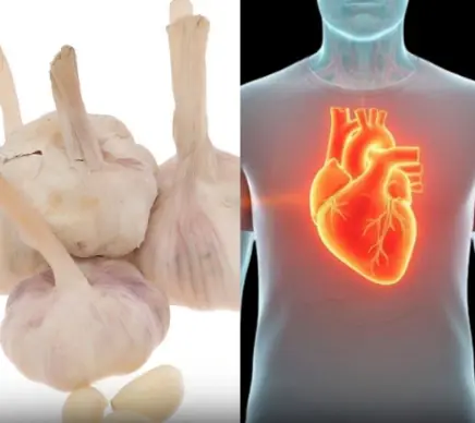 The Science-Backed Health Benefits of Garlic: Raw Garlic vs. Supplements