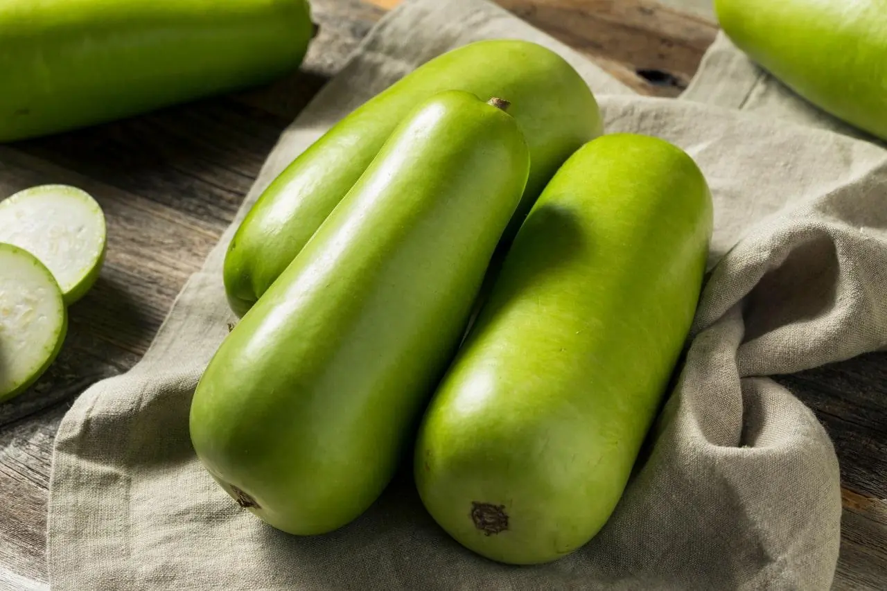One Bite Was Enough: Why Bitter Gourds and Squash Should Never Be Ignored