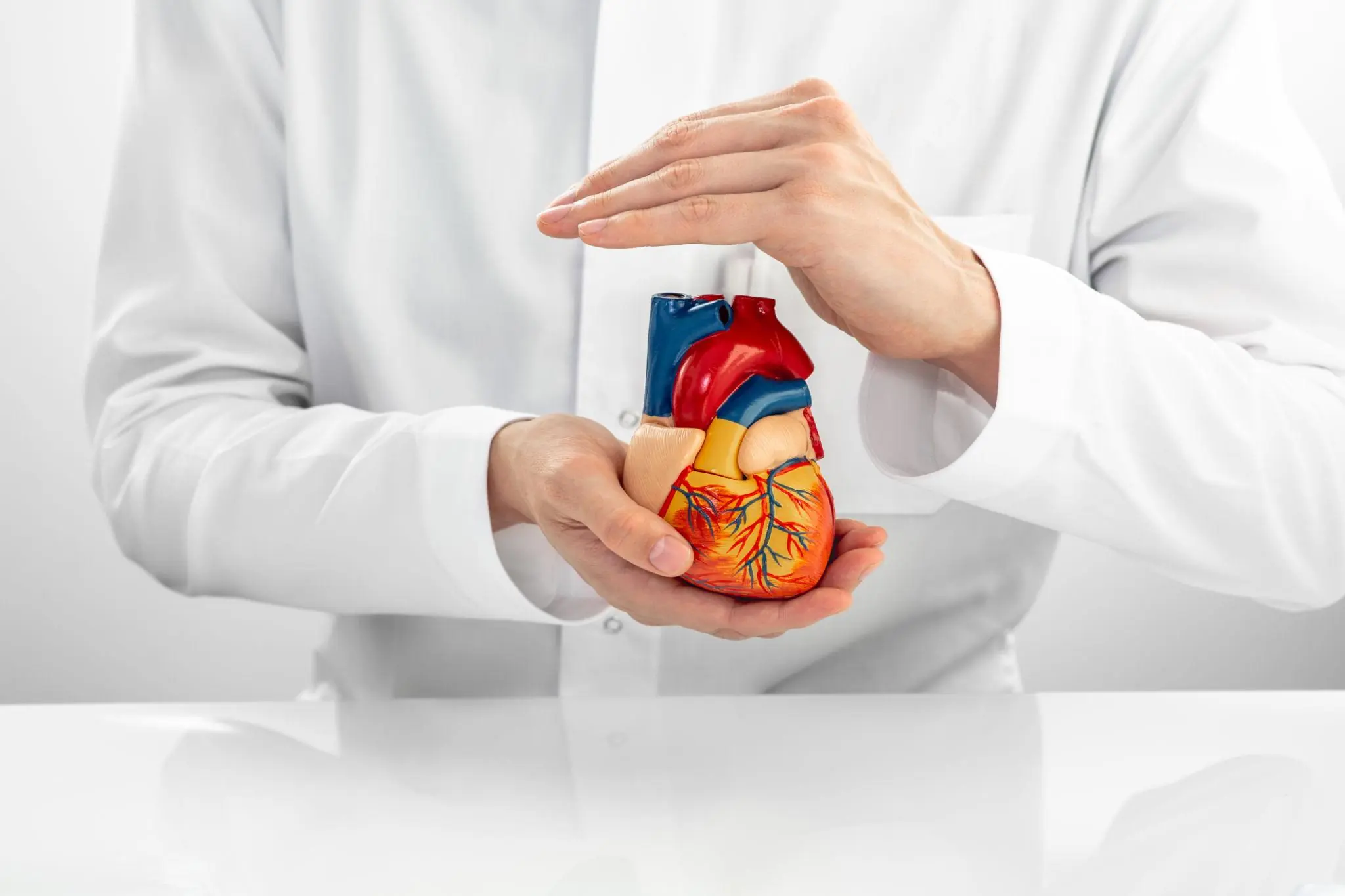6 Natural Remedies That May Help Support Healthy Arteries