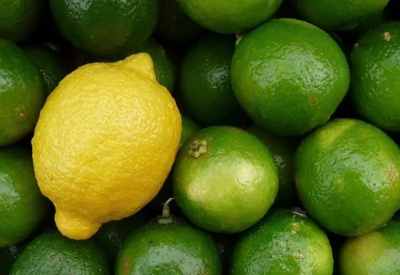 Discover 20 Traditional Lemon Remedies and the Potential Benefits They May Offer