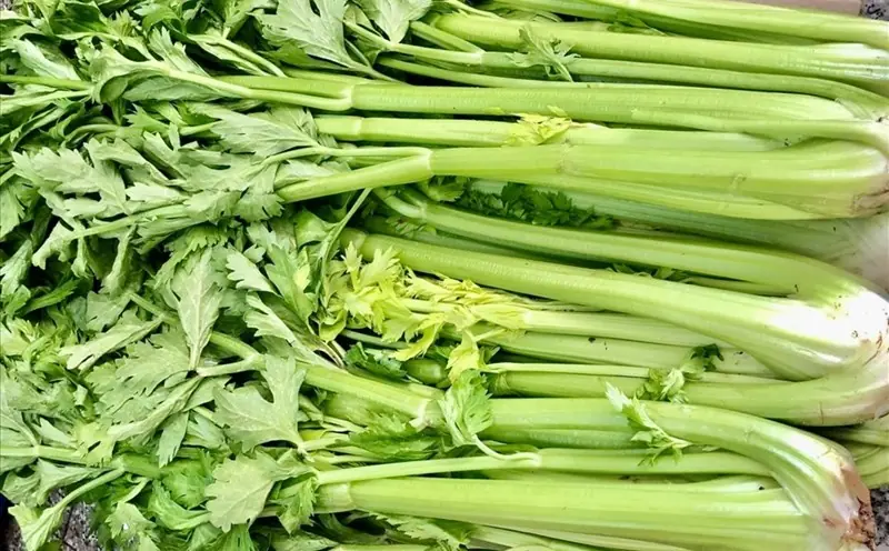 Foods That May Help Support Your Kidneys, Liver & Lungs Naturally