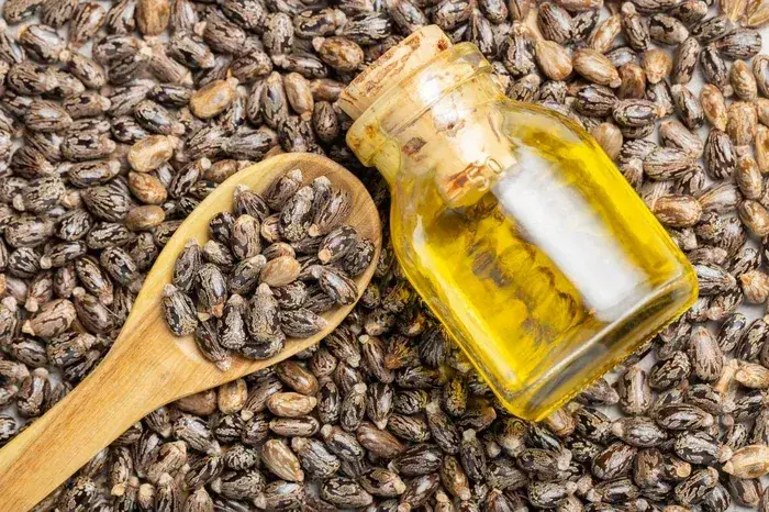 What Happens When You Use Castor Oil Before Bed? Here's What the Evidence Shows