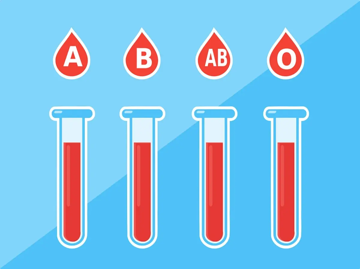 Is There a Link Between Blood Type and the Foods That Suit You Best?