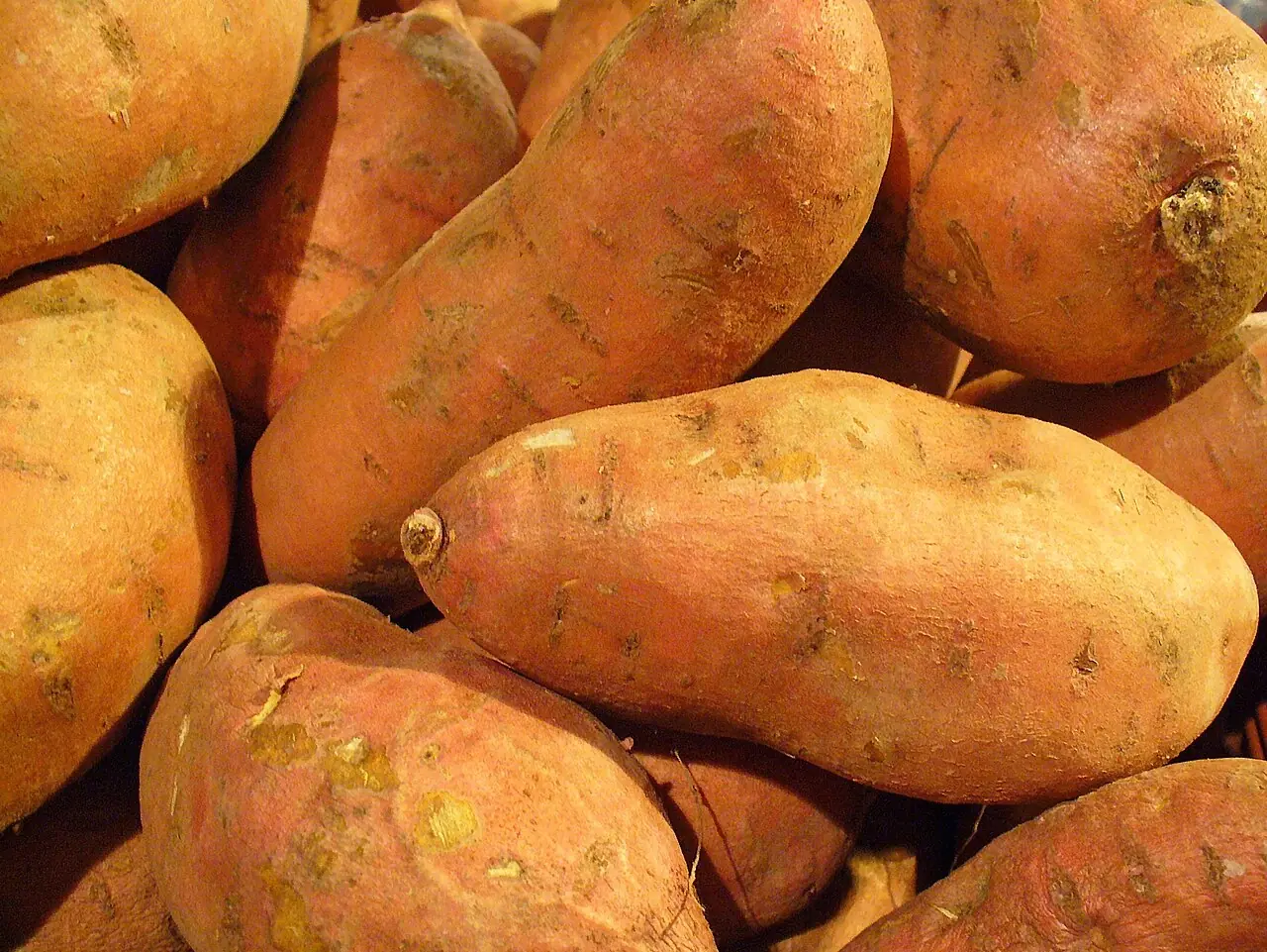 9 Essential Things to Know About Sweet Potatoes Before Making Them Part of Your Meals