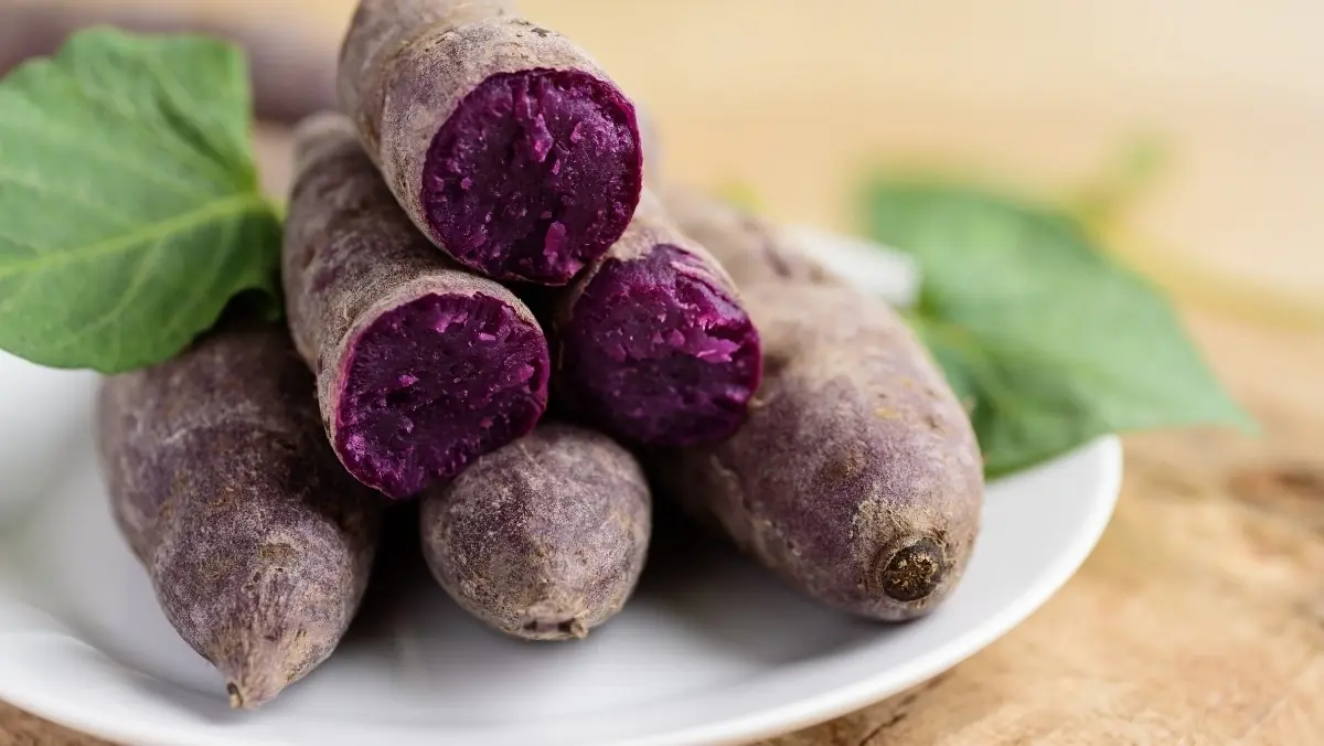 Scientists Investigate How Purple Potatoes May Help Support a Healthy Colon