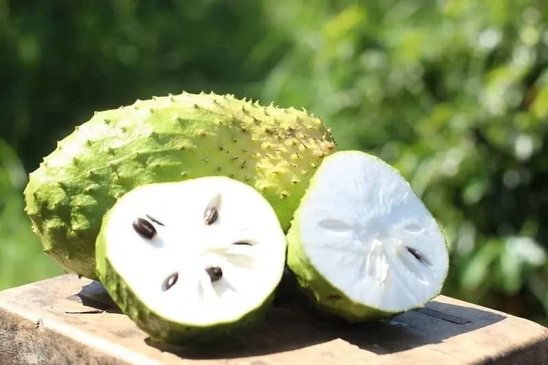 10 Amazing Ways Soursop Leaves and Fruit May Support Your Health