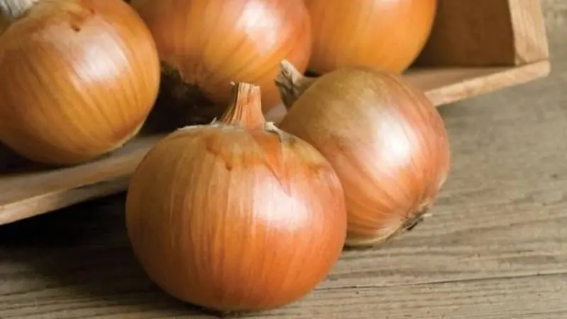 How to Use Onions to Help Keep Common Household Pests at Bay