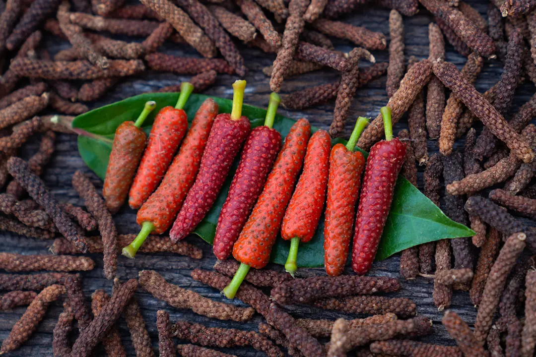 The Potential Role of Herbal Leaves in Supporting Respiratory Wellness