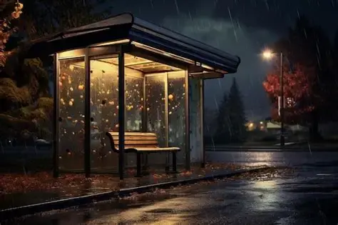 The Rain That Taught Him a Lesson