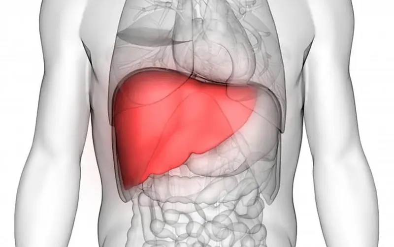 Think Alcohol Is the Only Threat? These 5 Drinks May Also Impact Liver Health