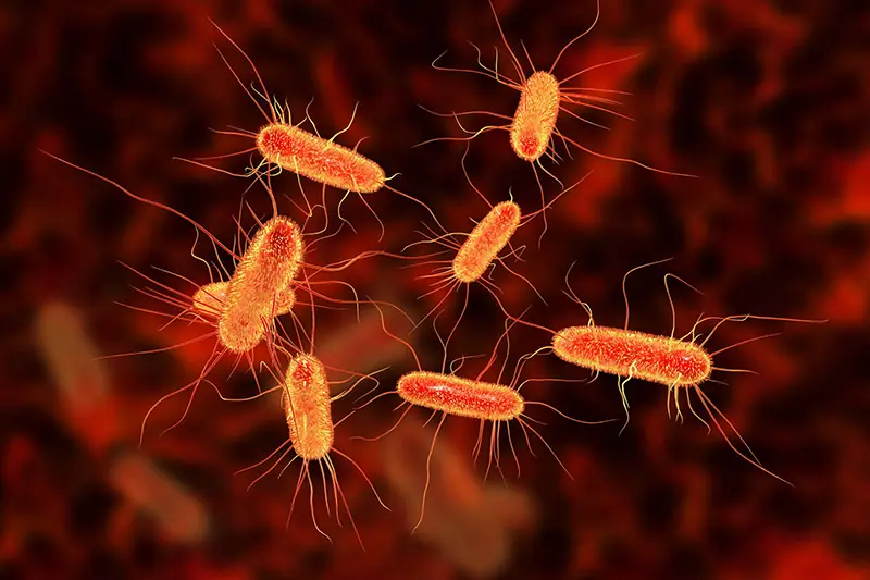 Supporting H. pylori Treatment Naturally: Lifestyle and Dietary Tips
