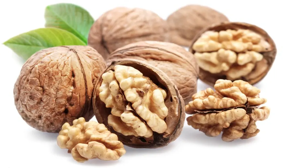 The Health Benefits of Walnuts: How Much Should You Eat?