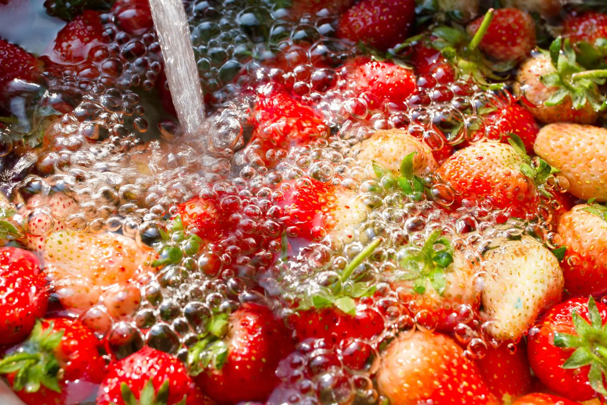 Why Tiny White Worms Appear in Strawberries and What You Should Do👇