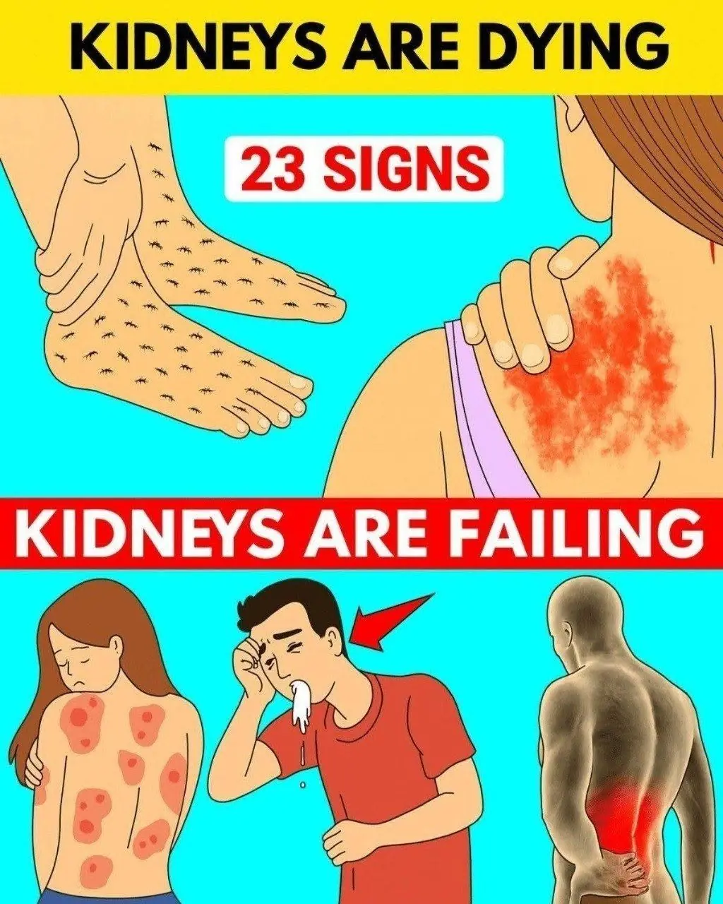 Warning Signs Your Kidneys May Be in Trouble: What to Watch For
